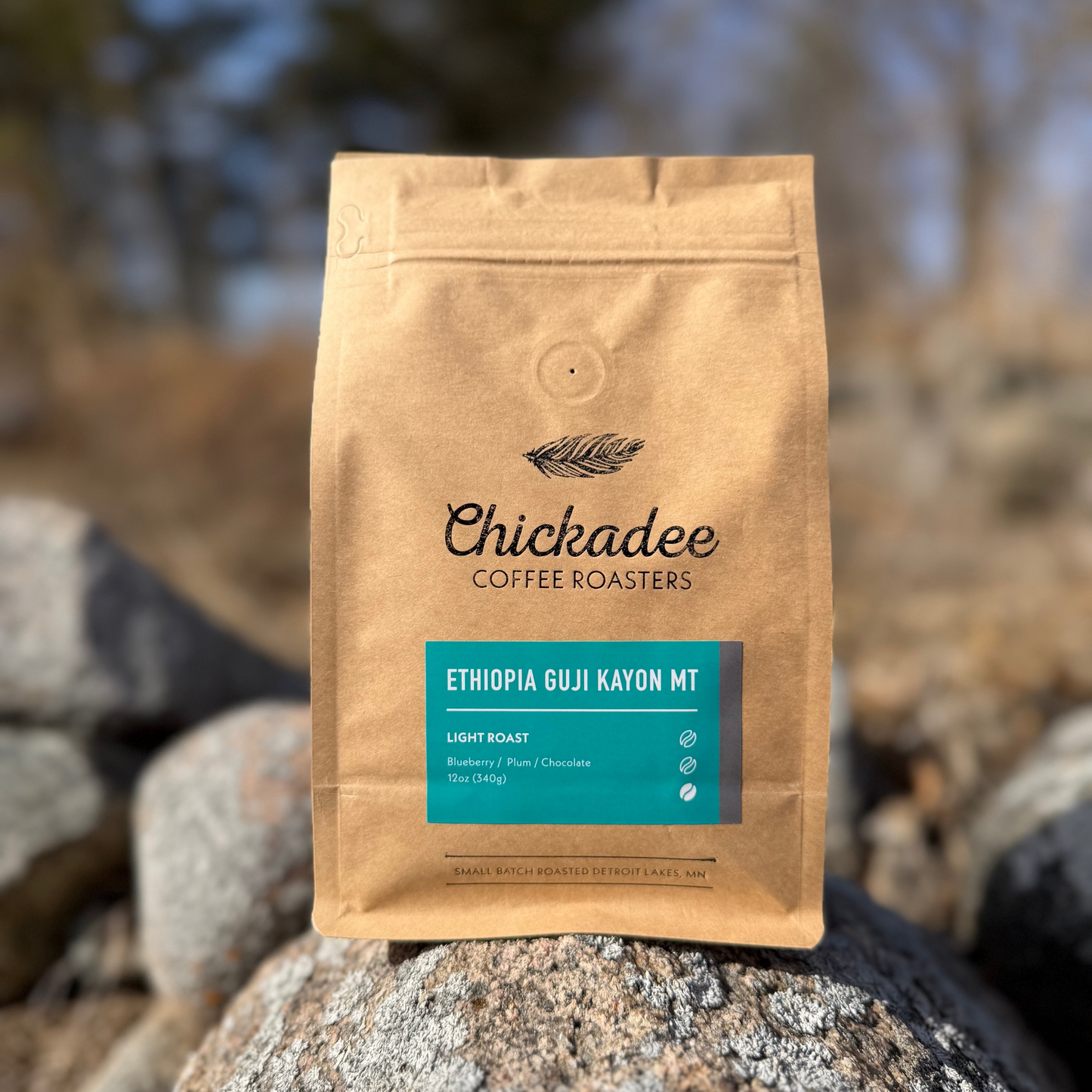 A brown bag of Chickadee Coffee Roasters’ Ethiopia Guji Kayon Mt coffee rests on a rock outdoors. This light roast offers blueberry, plum, and chocolate notes, set against a backdrop of blurred trees and rocks.