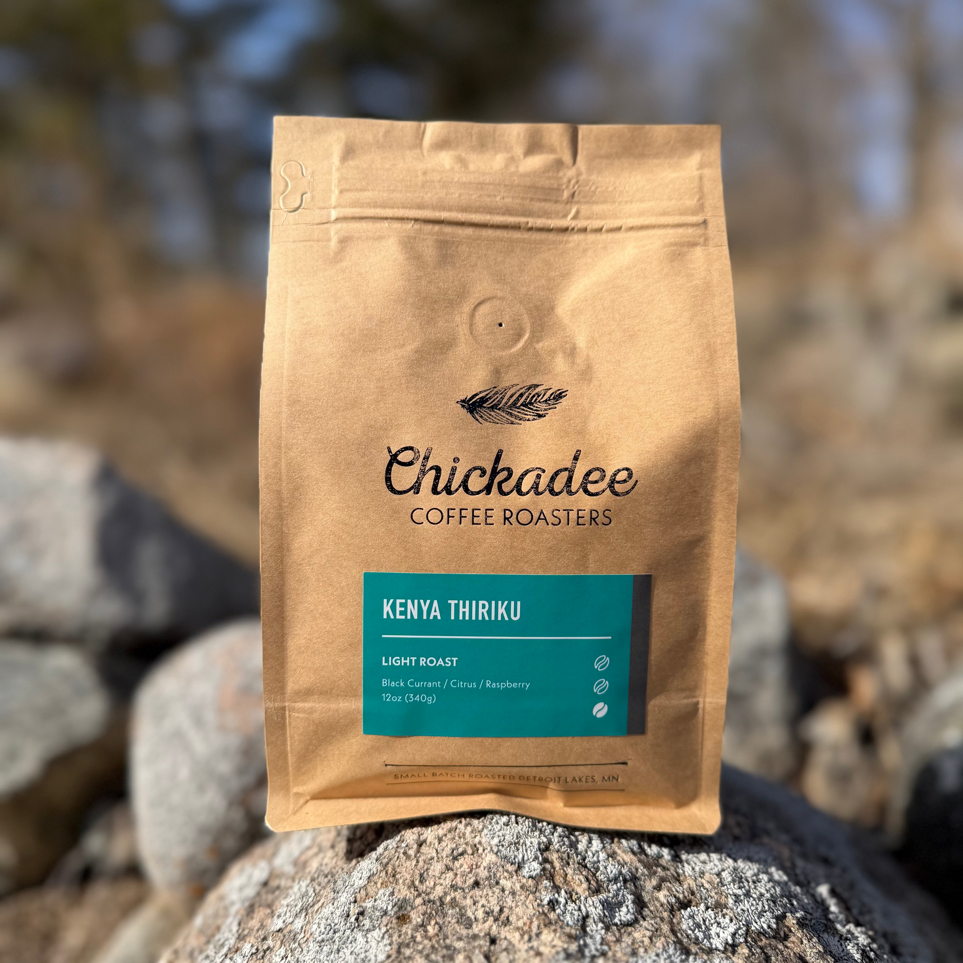 A brown bag of Chickadee Coffee Roasters Kenya Nyeri sits outdoors on rocks, featuring a blue label with flavor notes of black currant, citrus, and raspberry. This light roast Kenyan coffee is pictured against a softly blurred background.